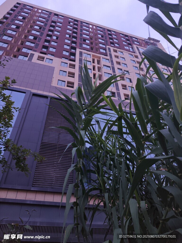 高楼旁的绿植景观