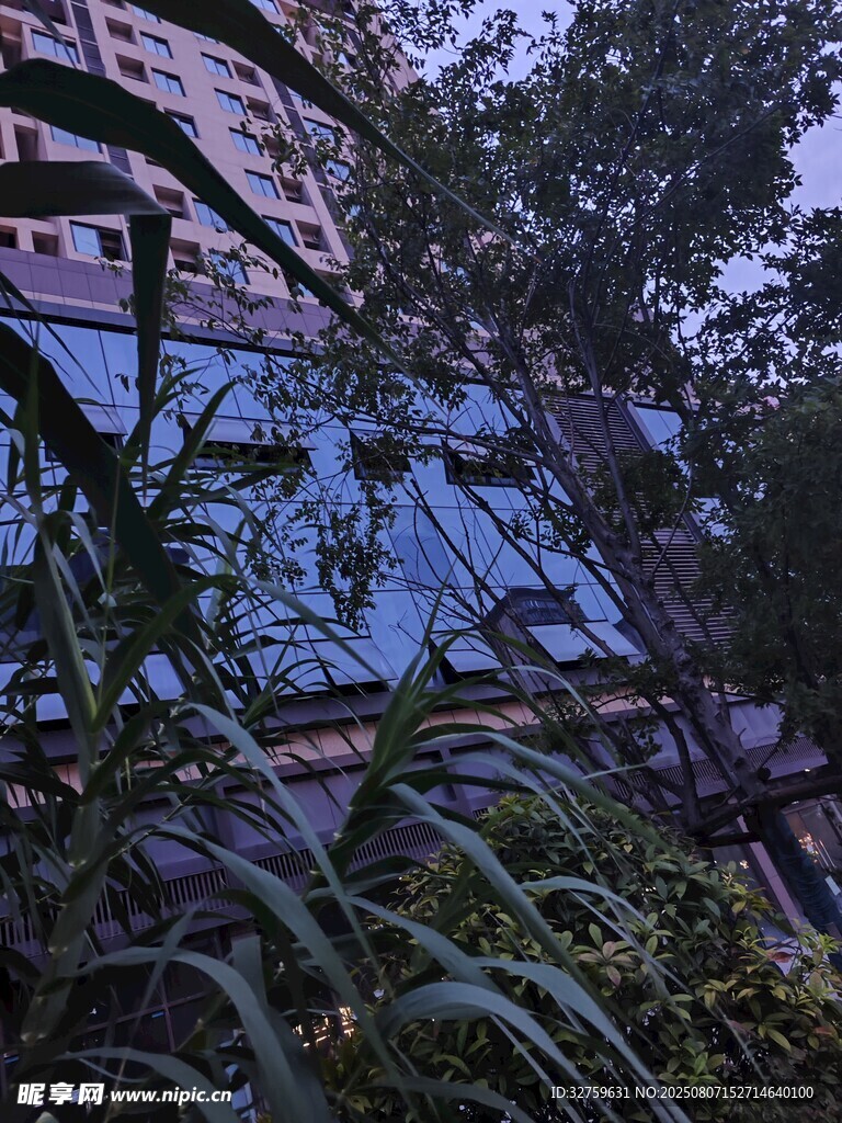 透过绿植望城市建筑