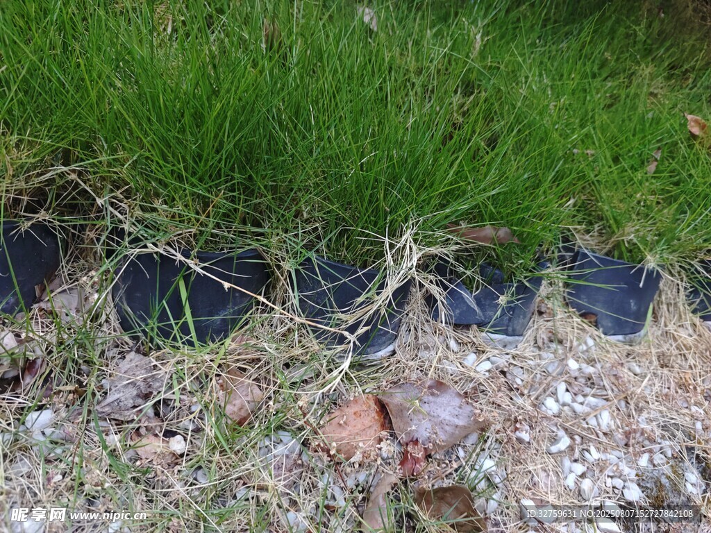 地面绿植与碎石景象