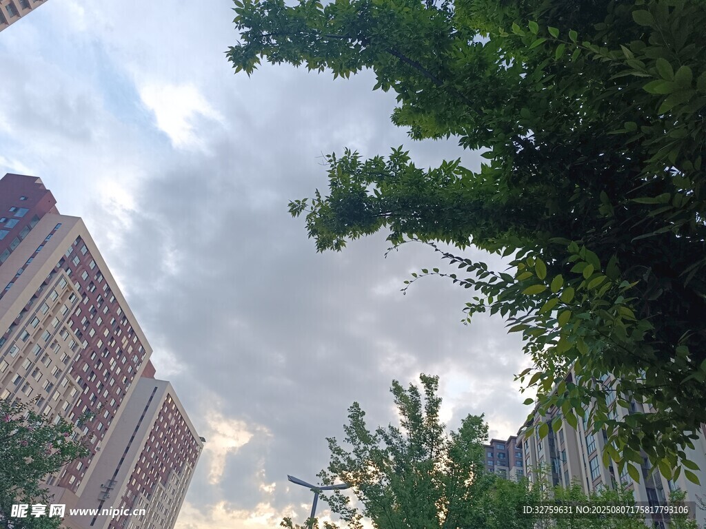 城市绿树与天空景致