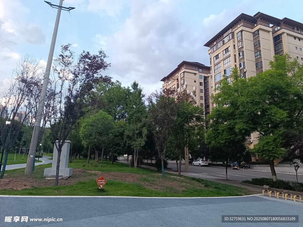 城市街道旁的建筑与绿树