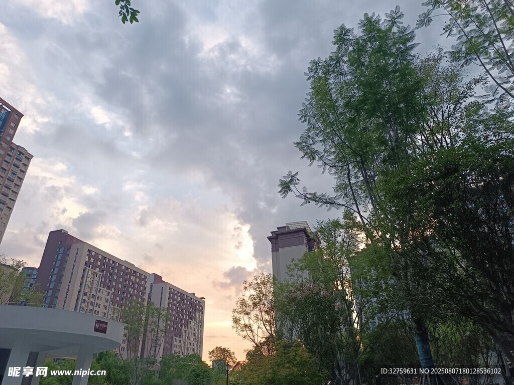 城市傍晚绿树掩映的建筑