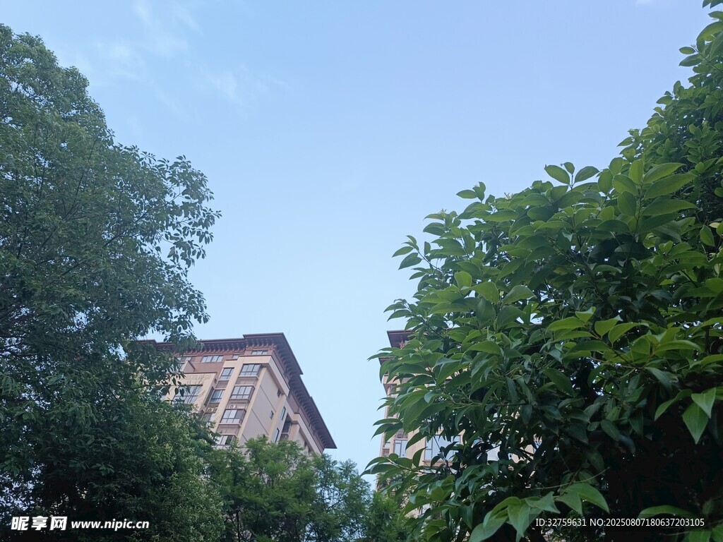 绿树掩映中的建筑一角