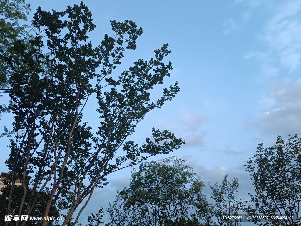 蓝天绿树风景图