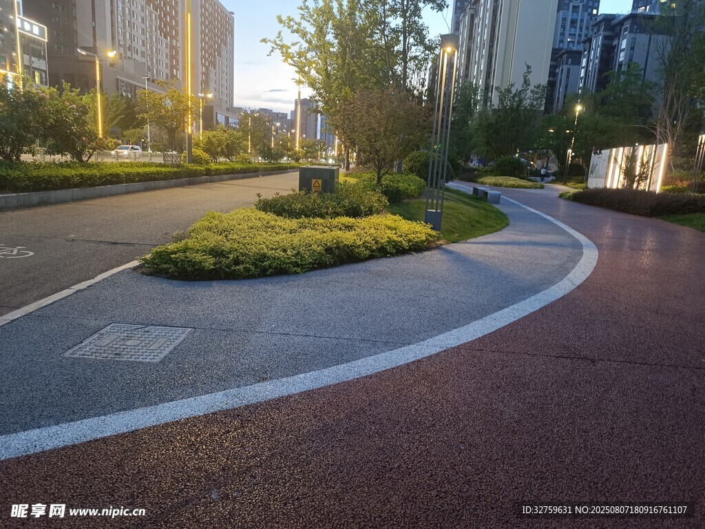 城市道路旁的绿化景观