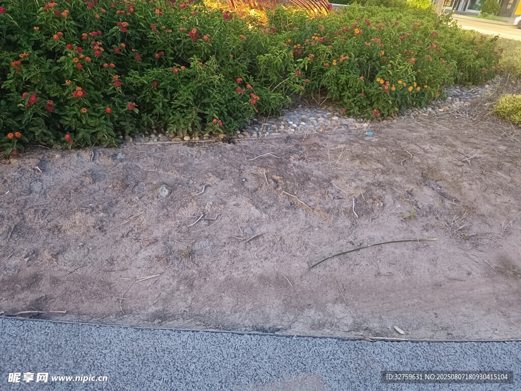 路边沙土与绿植景观