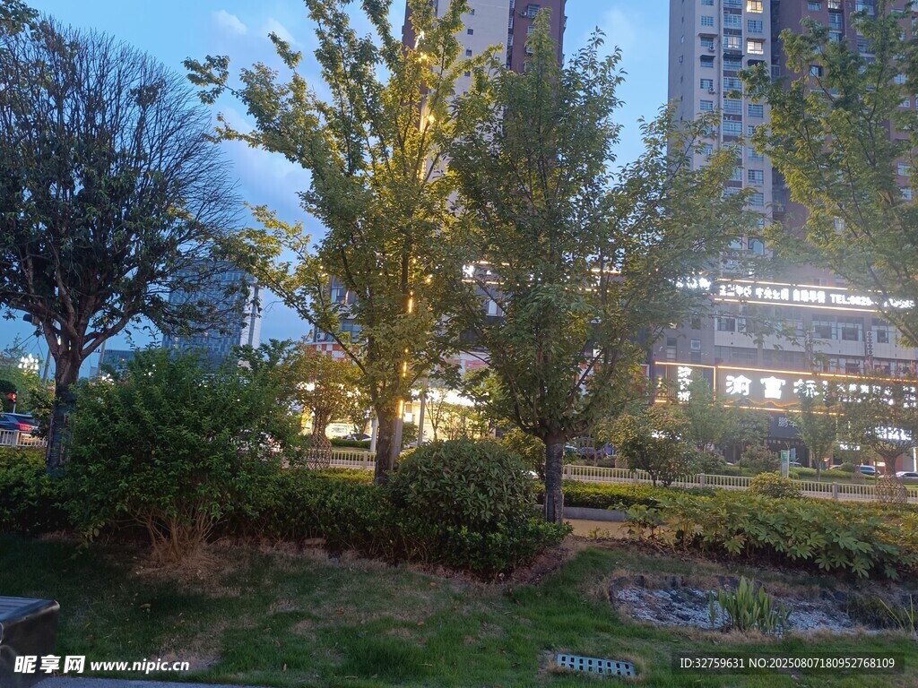 城市黄昏下的绿植景观