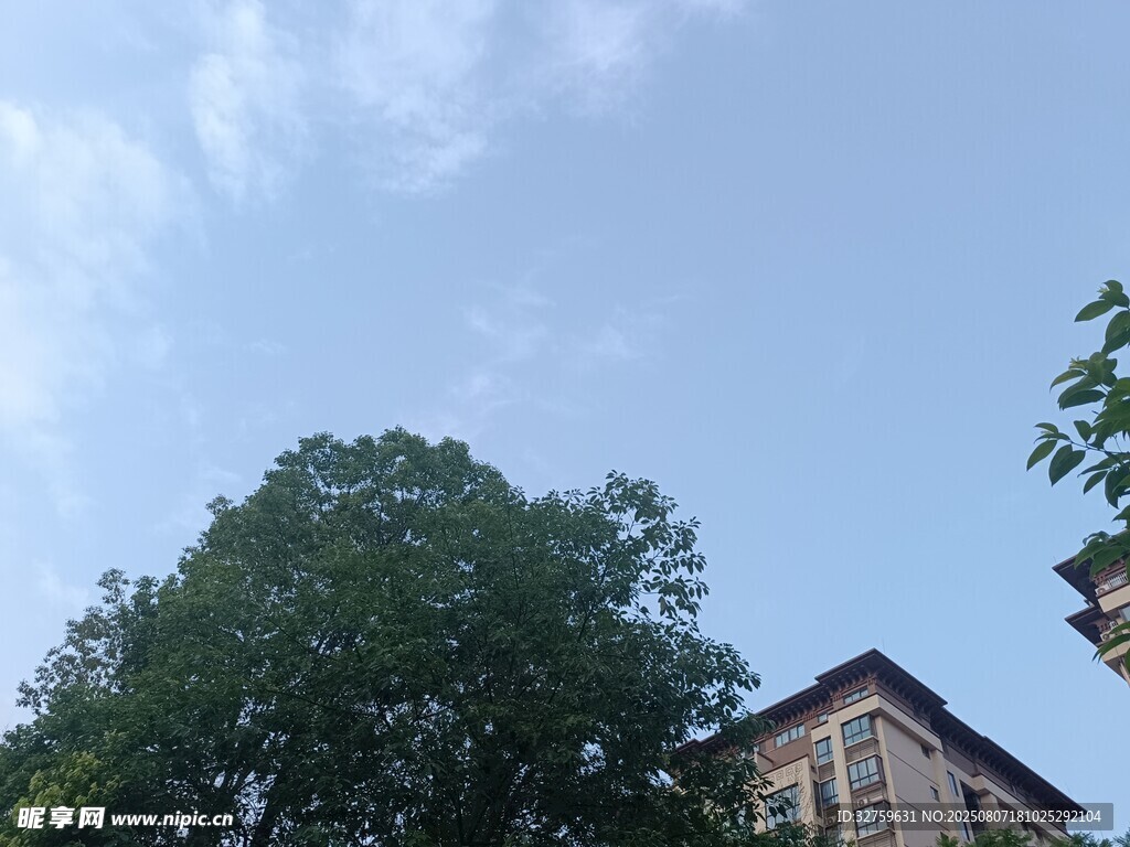 蓝天绿树旁的建筑