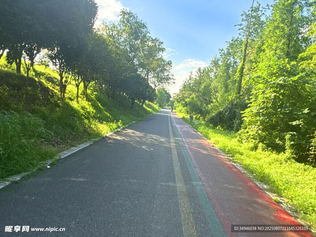 林间彩色公路
