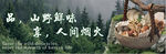 山居野趣 品味人间烟火