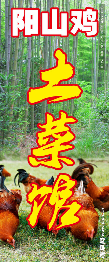 阳山鸡土菜馆海报