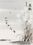 立秋时节飞鸟伴芦苇