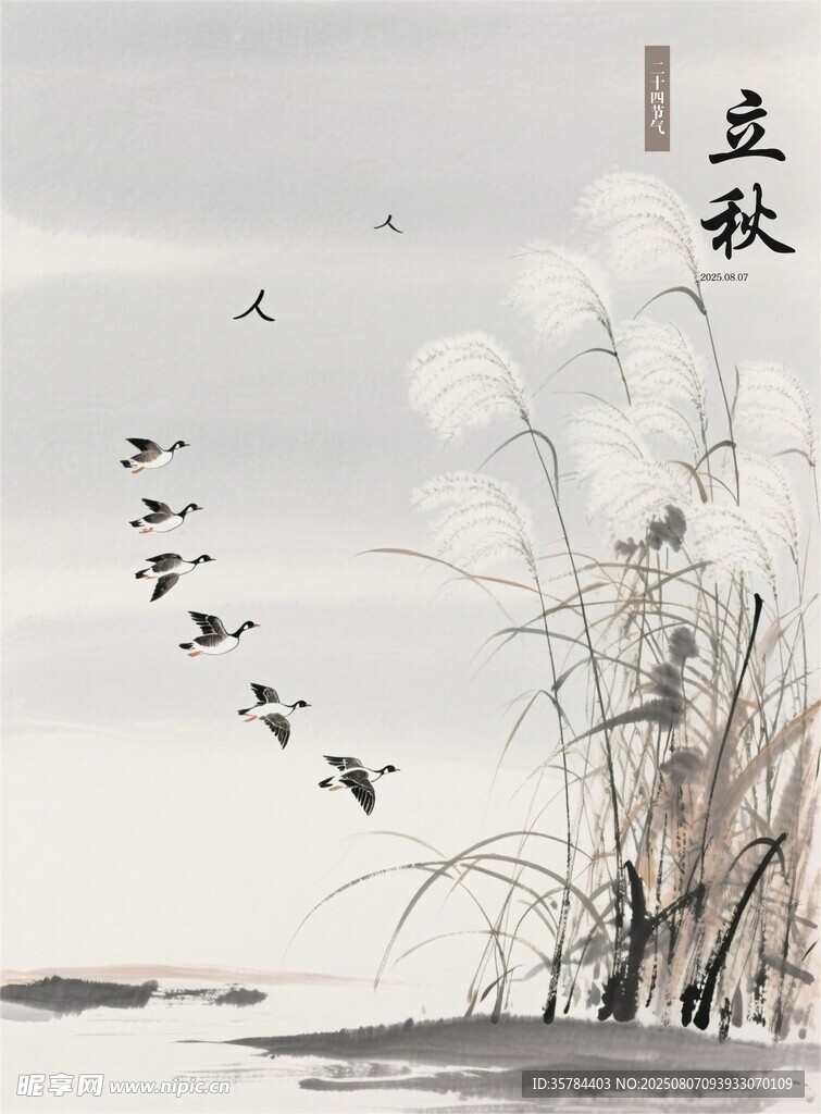 立秋时节飞鸟伴芦苇