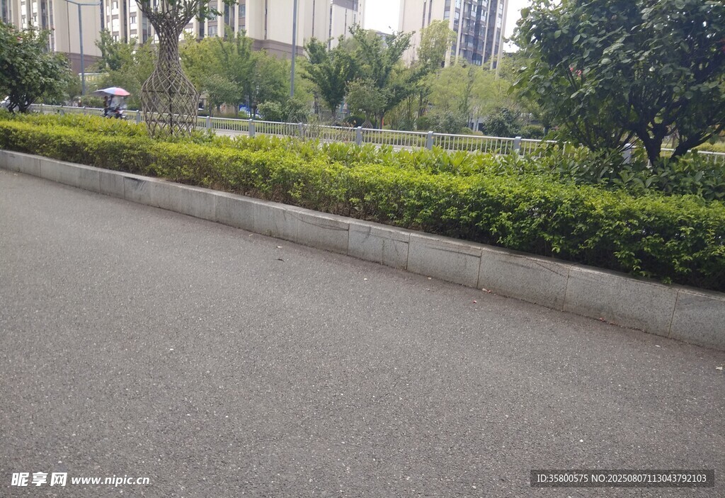 城市道路旁的绿化带景观