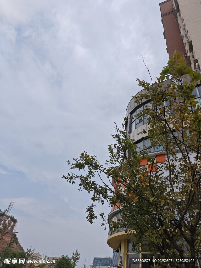 城市中带绿植的多层建筑