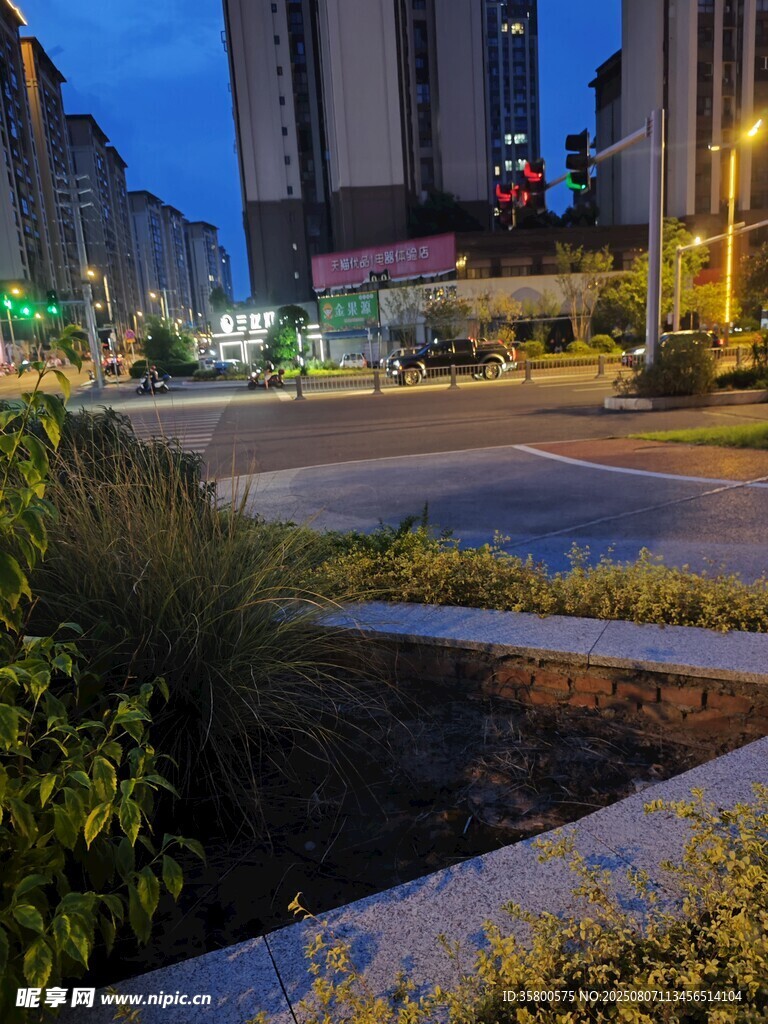 城市夜景中的绿化景观
