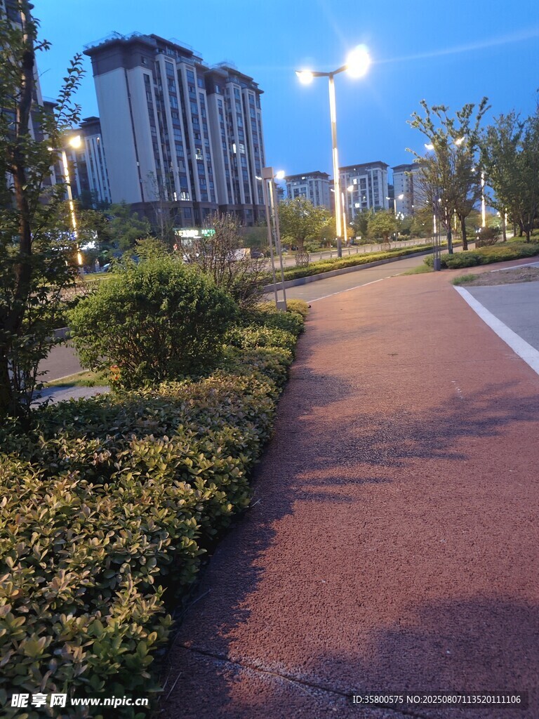 城市傍晚的静谧步道