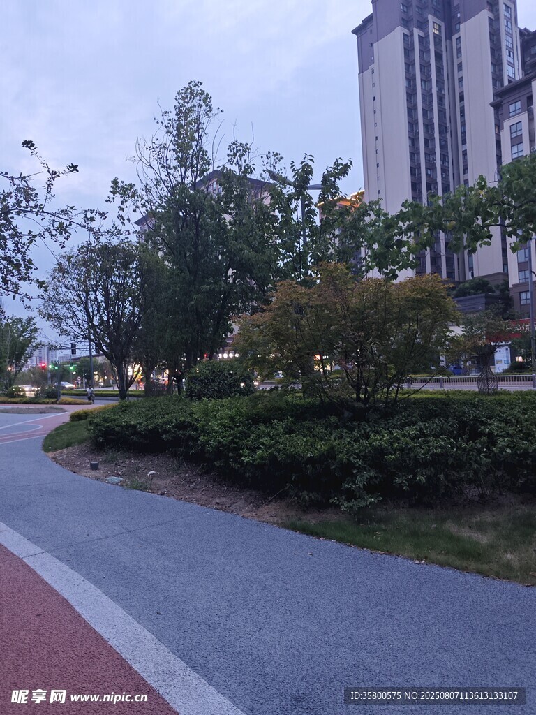 城市中的宁静林荫步道