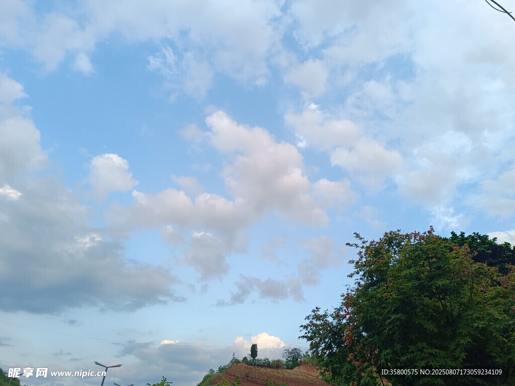 蓝天白云下的绿树景象