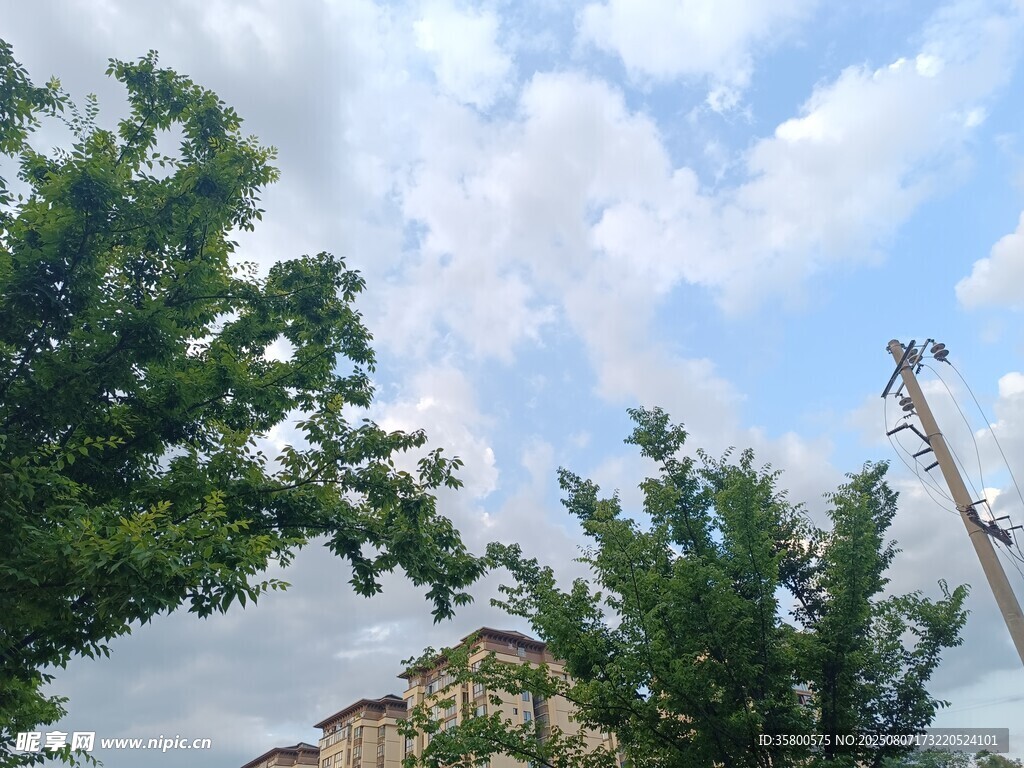 绿树掩映下的建筑