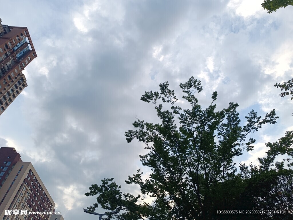 城市天空下的建筑与绿树