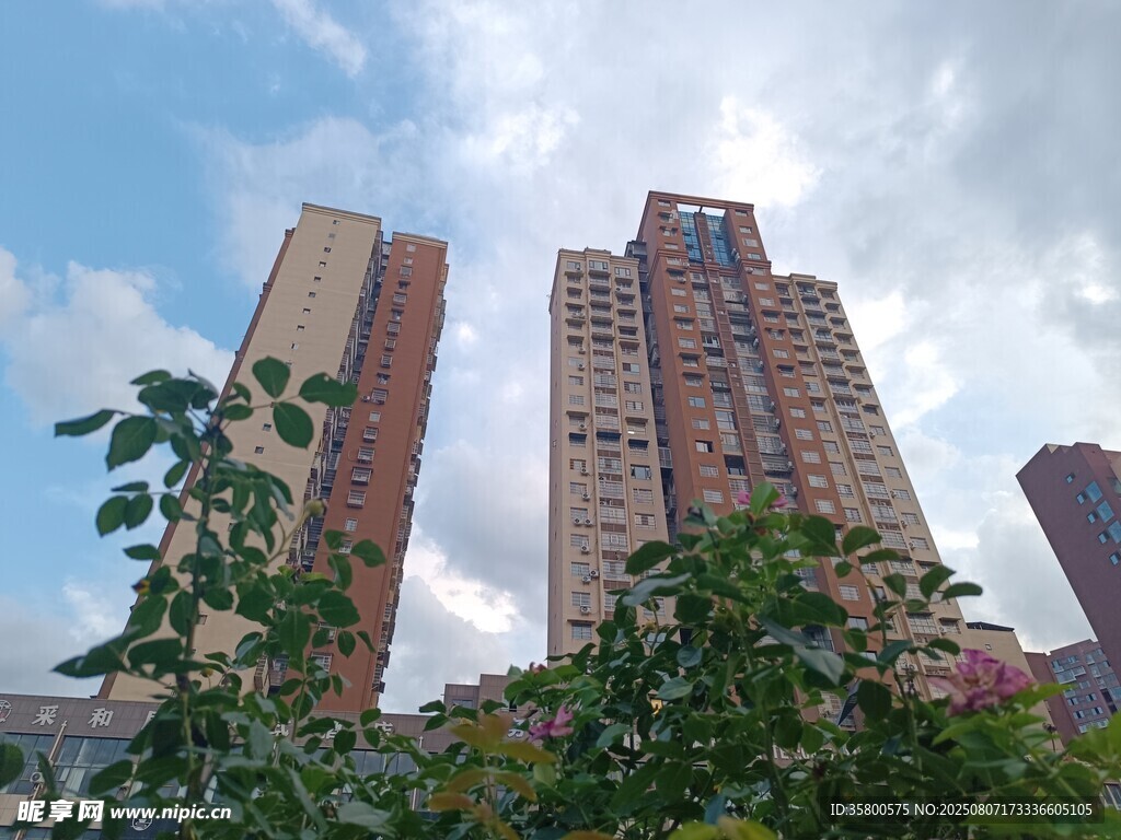 城市中林立的高层住宅楼