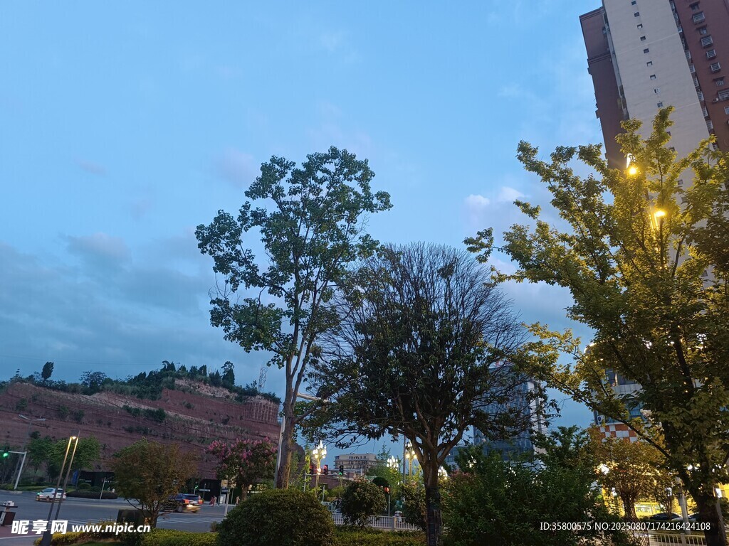 黄昏城市街景中的绿树高楼
