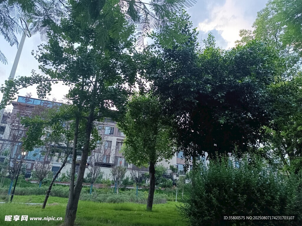 城市中的绿意盎然景观