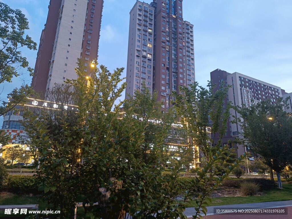 城市高楼旁的绿植景观