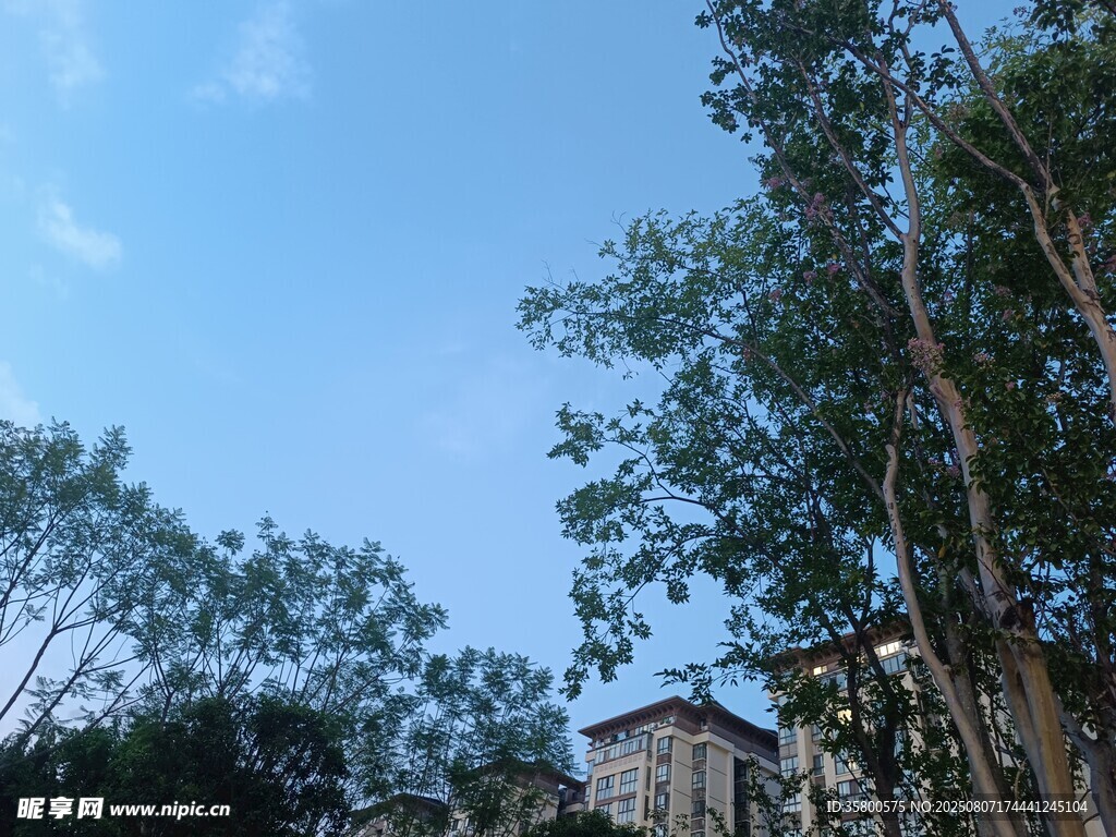 蓝天绿树旁的建筑