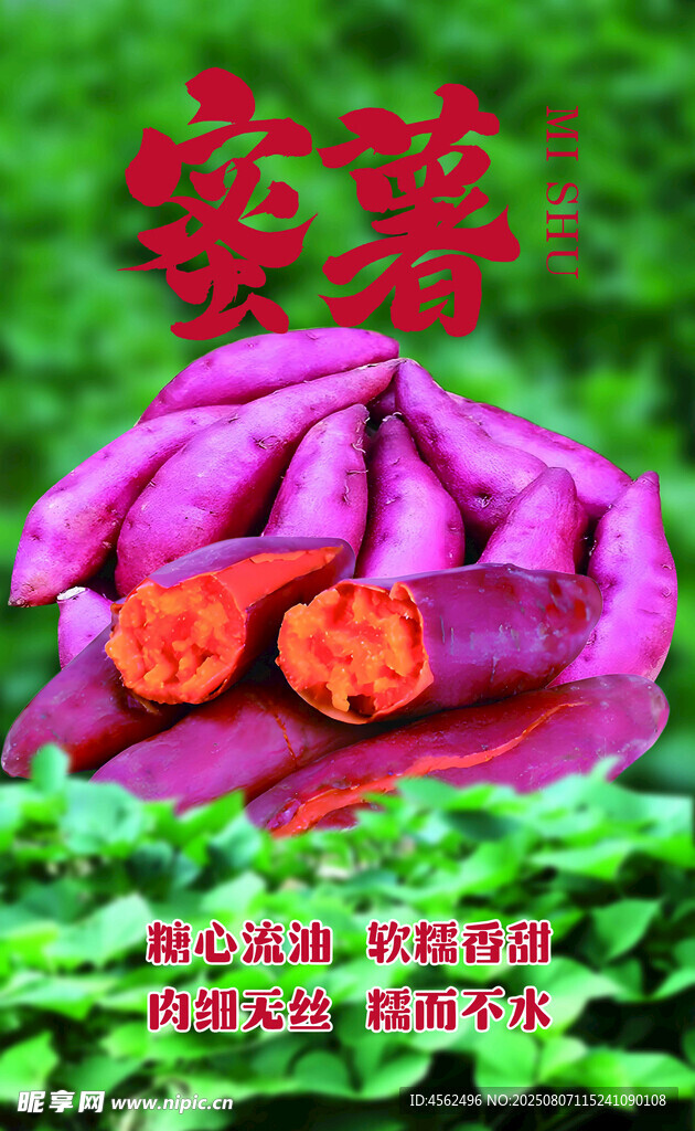 新鲜蜜薯