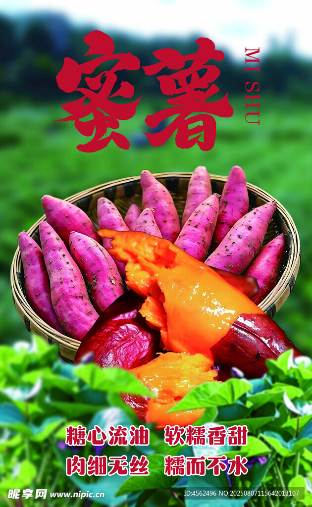 新鲜蜜薯田园美味