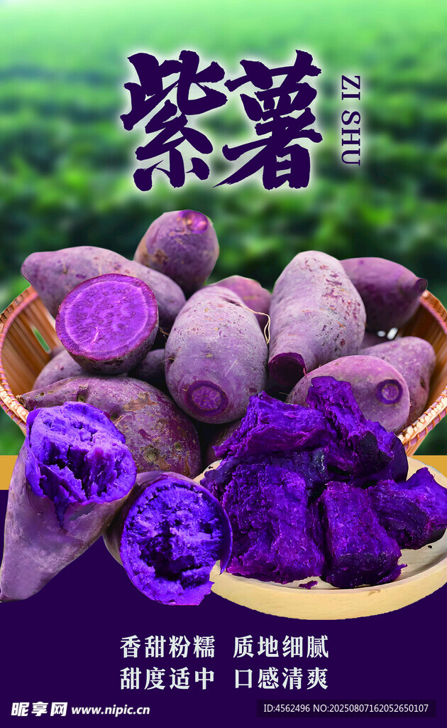 新鲜紫薯