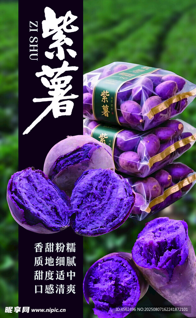 紫薯特写