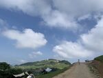 蓝天草地