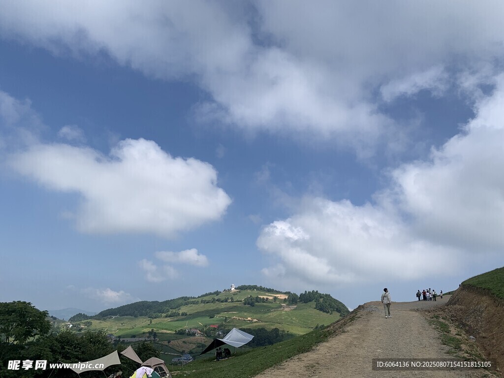 蓝天草地