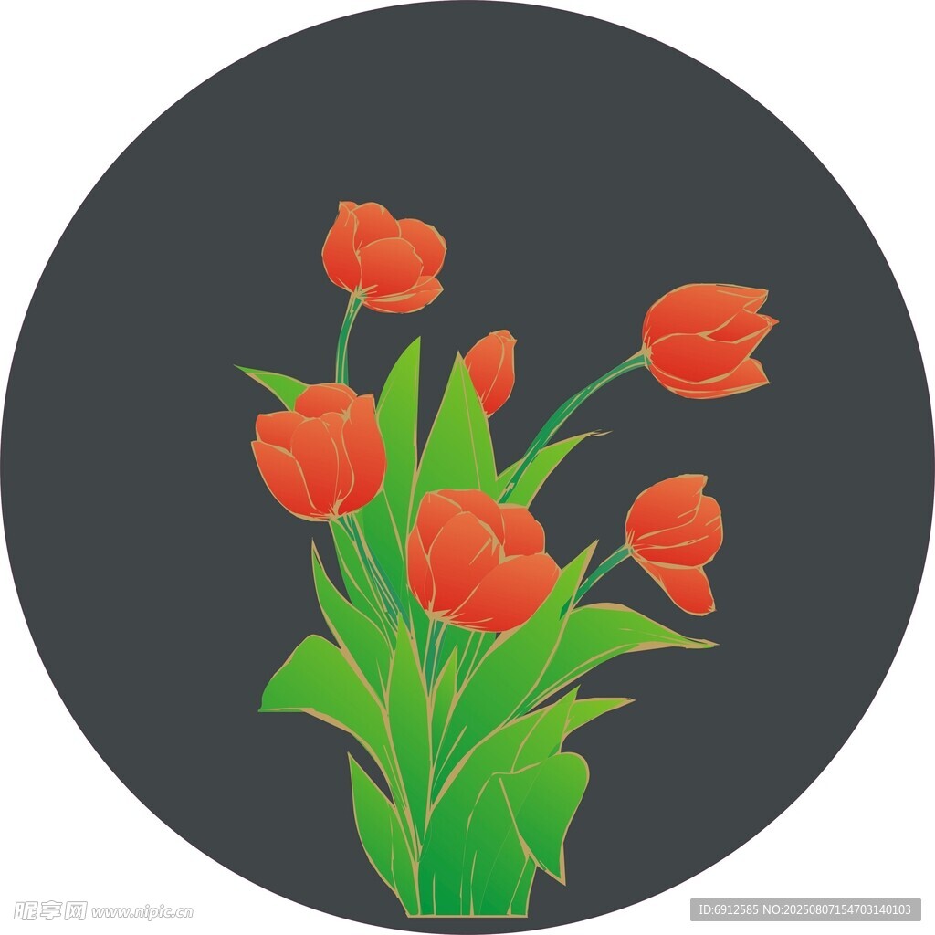 郁金香   花草    适量图