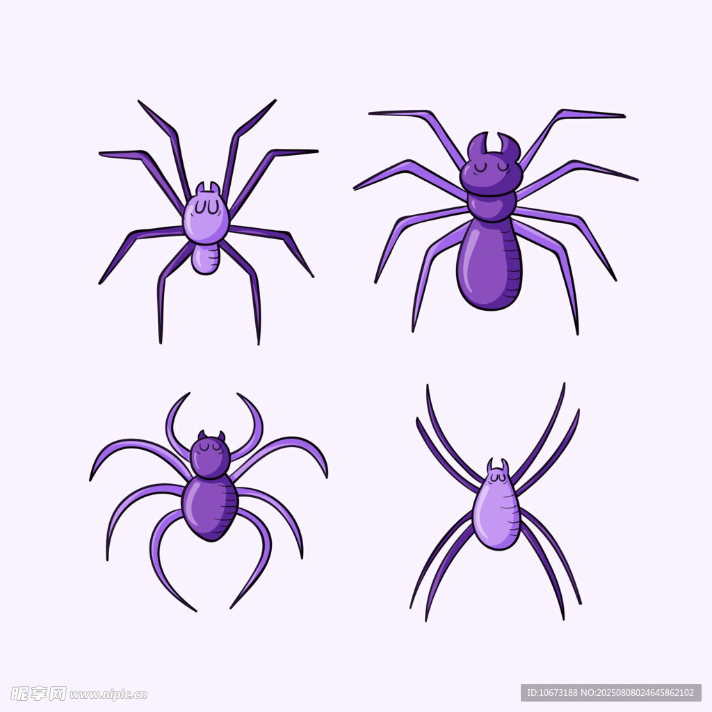 紫色蜘蛛插画集合
