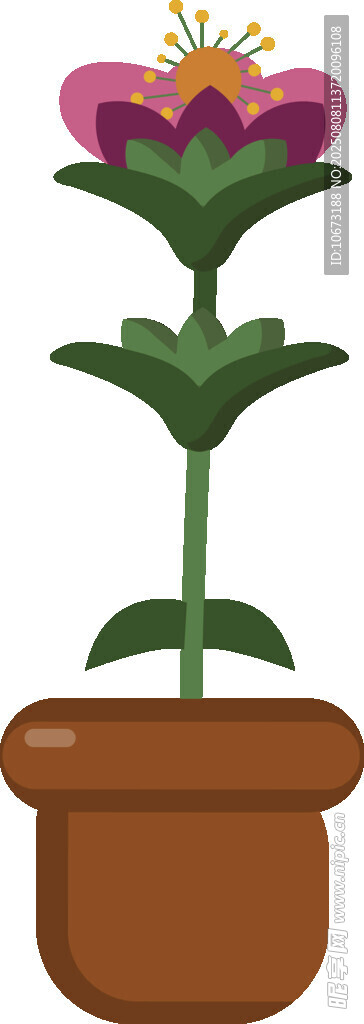 盆栽花卉