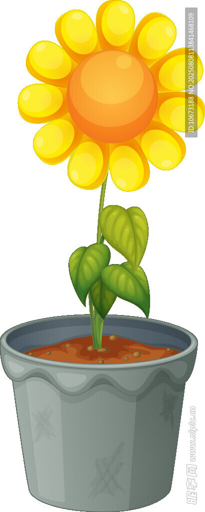 花盆中的黄色向日葵