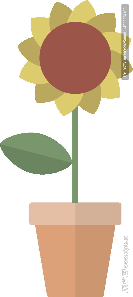 花盆中的向日葵插画
