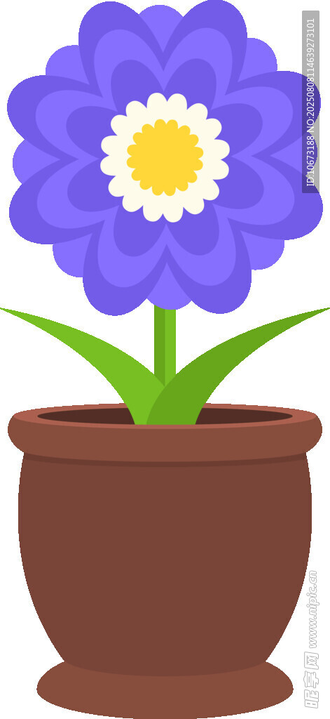 花盆中的紫色花朵