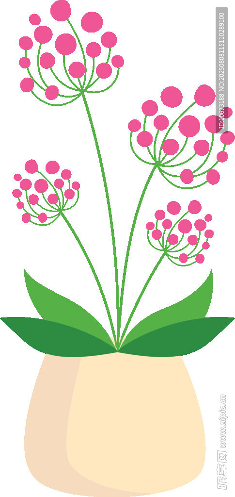 花盆中的粉色花朵