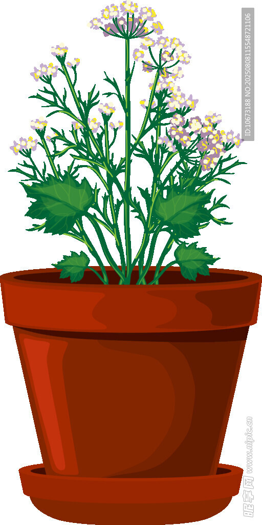 花盆中的清新小雏菊