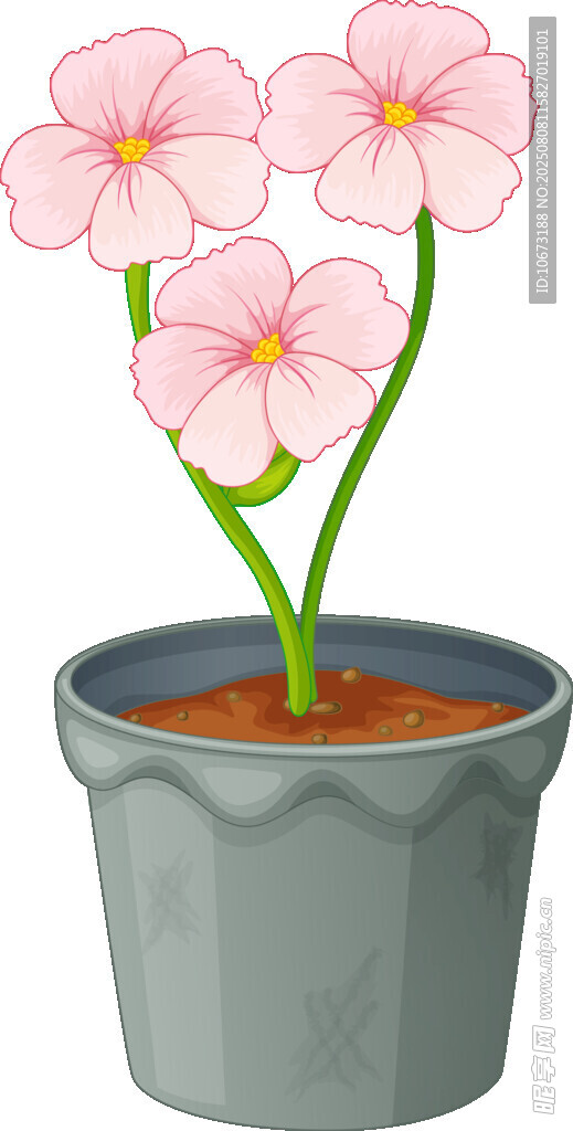 盆栽粉色小花