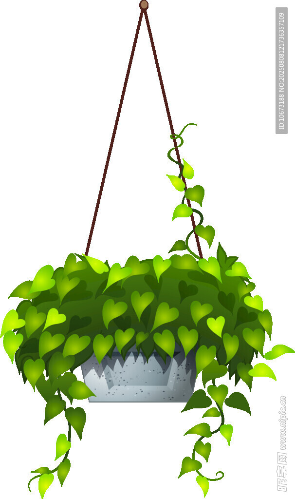 悬挂绿植盆栽