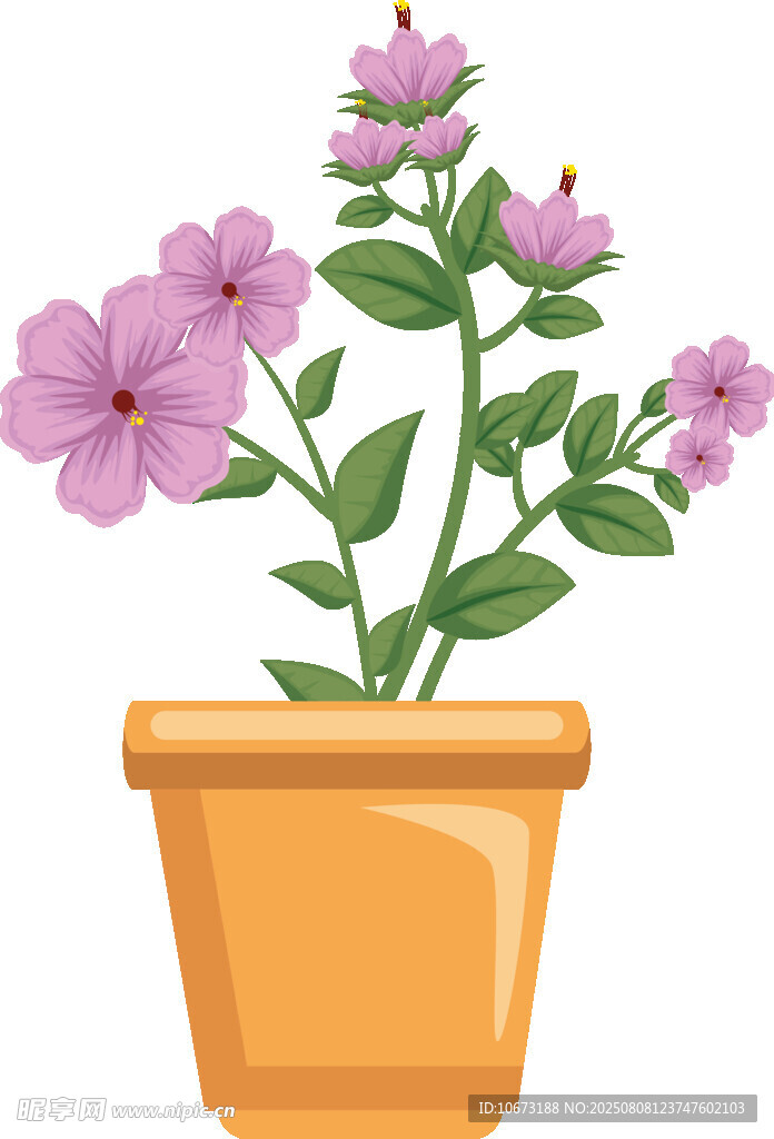 花盆中的紫色花卉