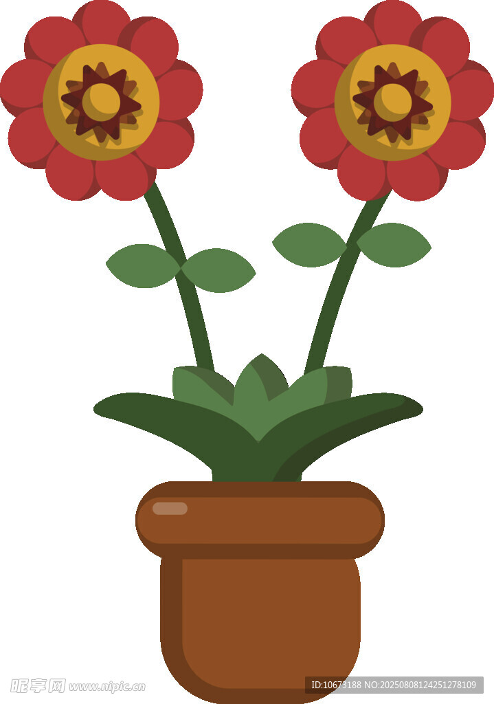 盆栽双花