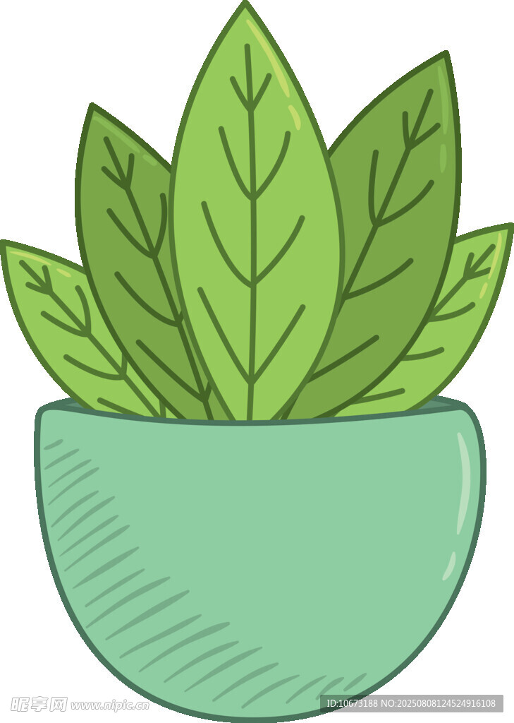 盆栽绿植插画