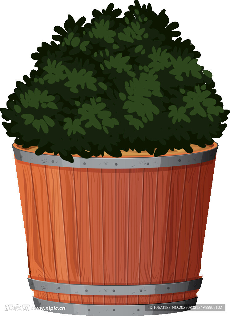 木桶中的绿植盆栽